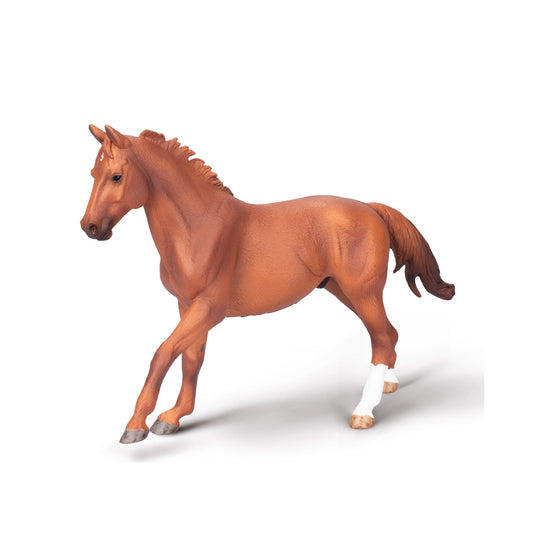Phar Lap, Throughbred Stallion Chestnut