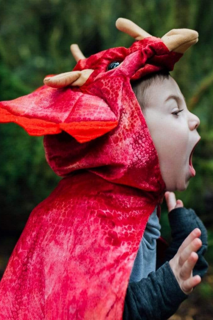 Triceratops Hooded Cape Age 4-5