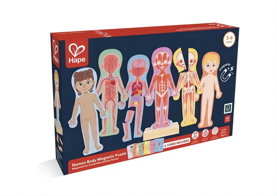 Human Body Magnetic Puzzle