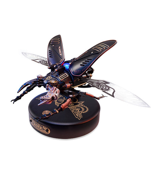 Stag Beetle