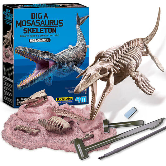Dig A Mosasaurus Skeleton