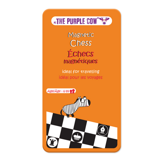 Magnetic Chess