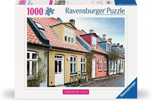 Scandinavian Places Aahus, Deemark 1000pc