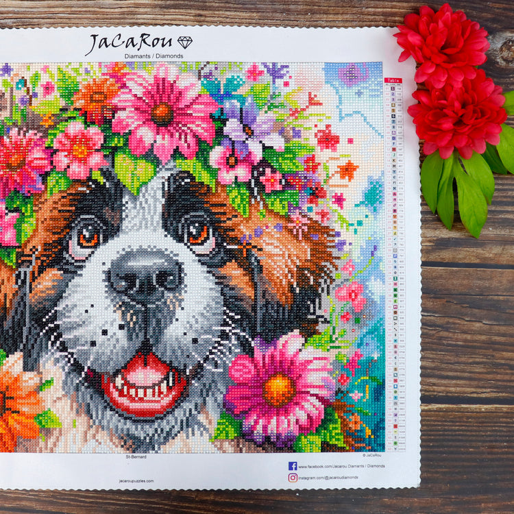 Diamond St-Bernard 20X16"