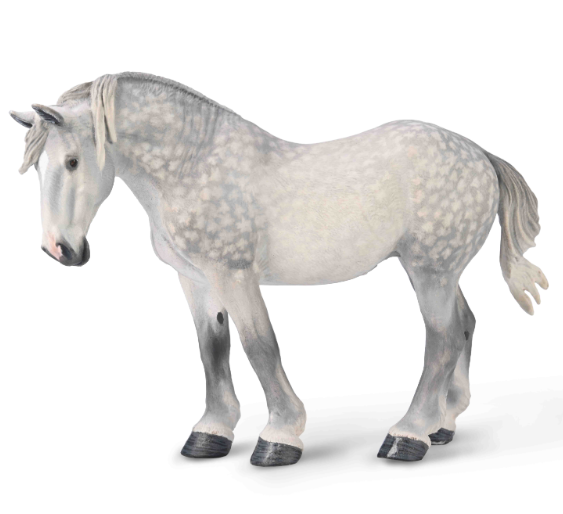 Percheron Mare - Dapple Grey