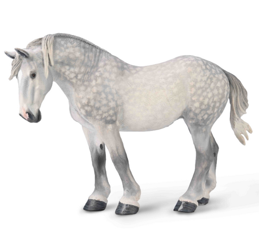 Percheron Mare - Dapple Grey