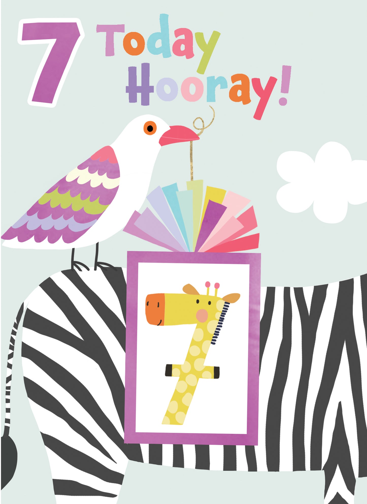 7 Today Hooray! Seagull Birthday Card