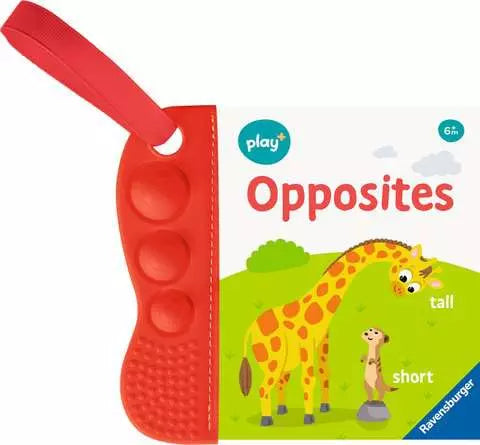 Flip Flop Opposites