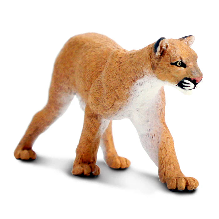 Mountain Lion