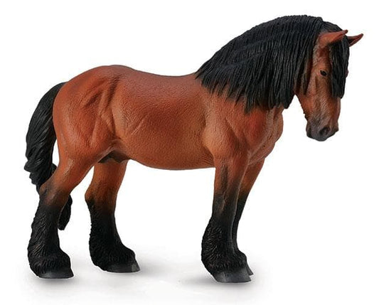 Ardennes Stallion - Bay