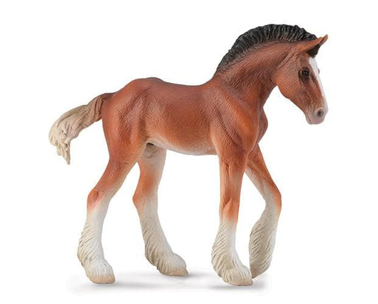 Clydesdale Foal Bay