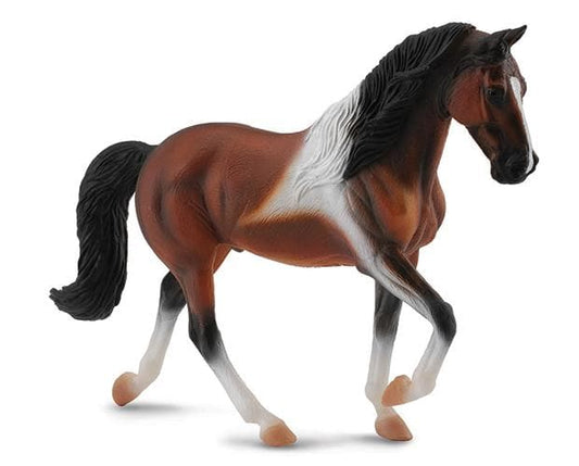 Tennessee Walking Horse Stallion Bay Pinto