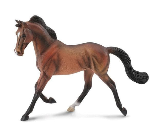 Thoroughbred Mare Bay