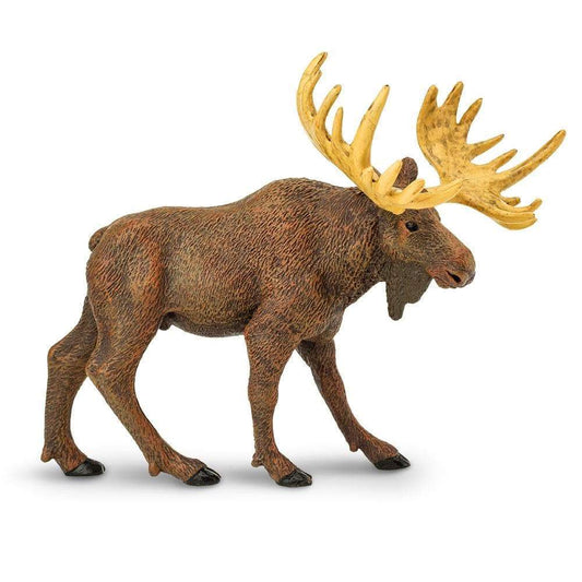 Moose