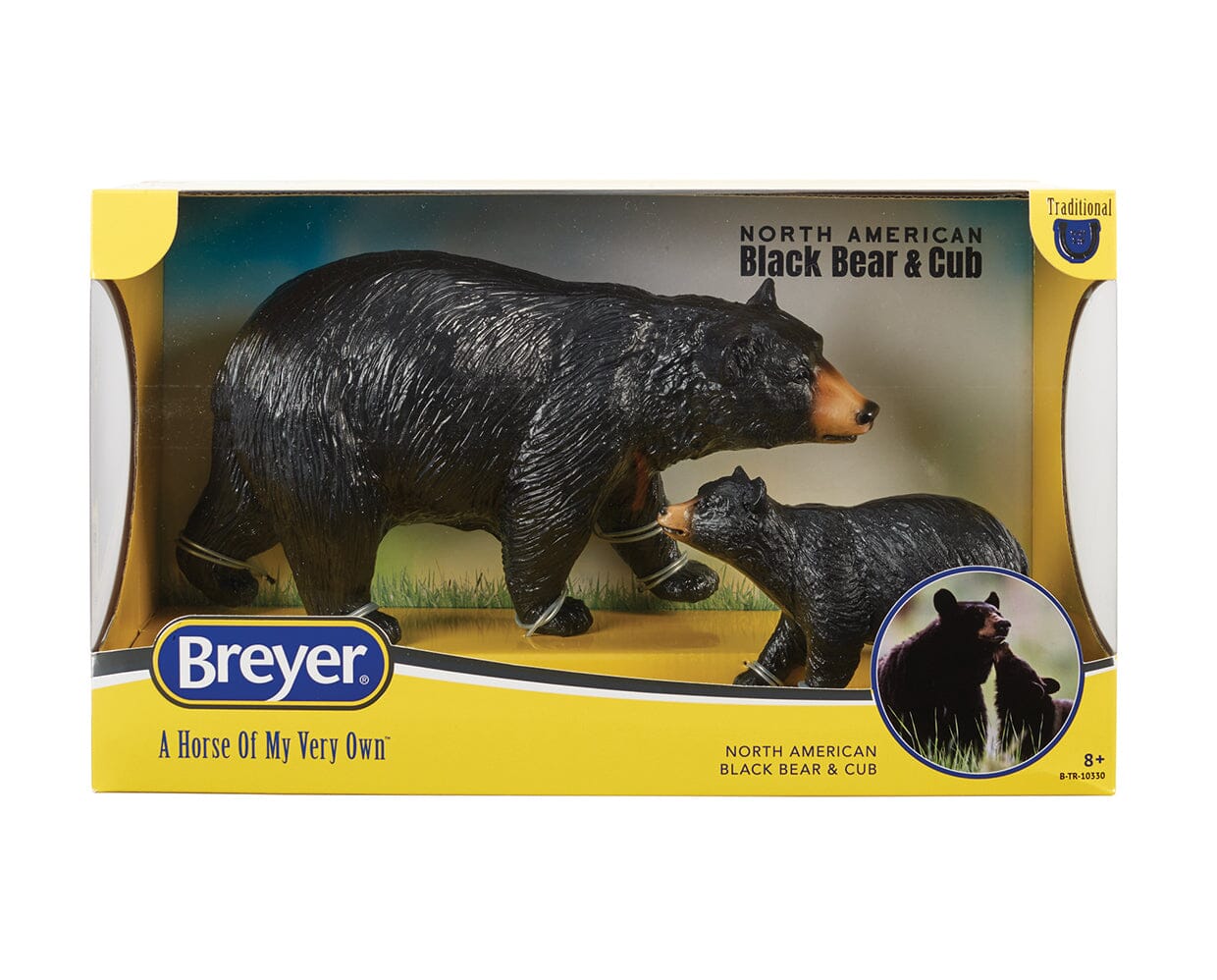 North American Black Bear & Cub