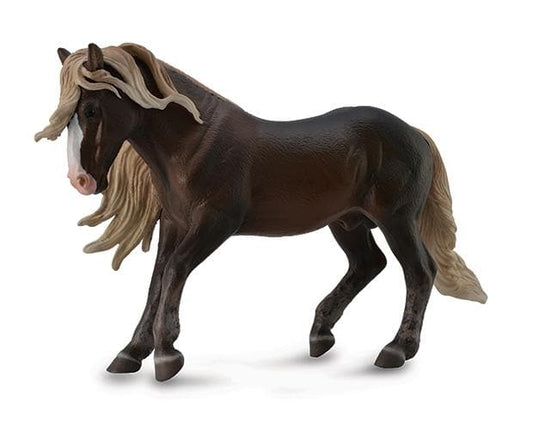 Black Forest Horse Stallion
