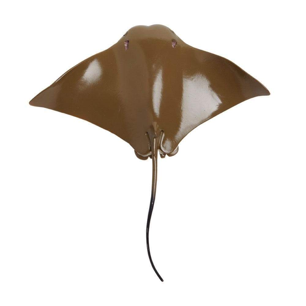 Cownose Ray