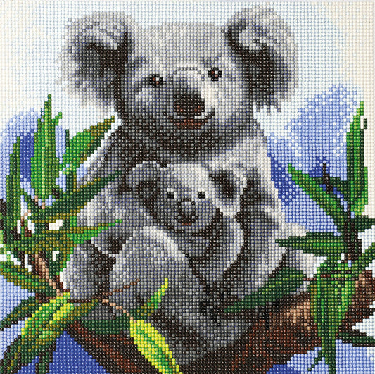 Crystal Art Mounted Kit Cuddly Koalas 11.8X11.8"