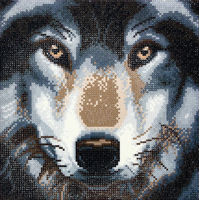 Crystal Art Mounted Kit Wolf 12X12"