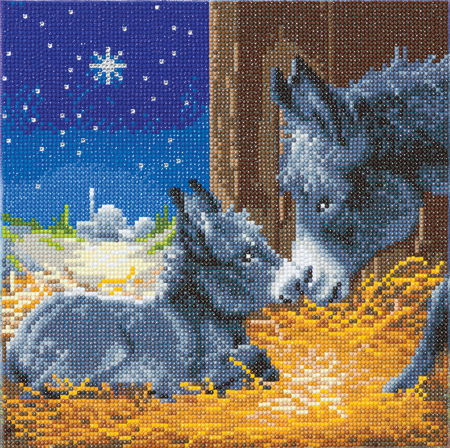 Crystal Art Framed Canvas Art - Little Donkey 30 x 30cm