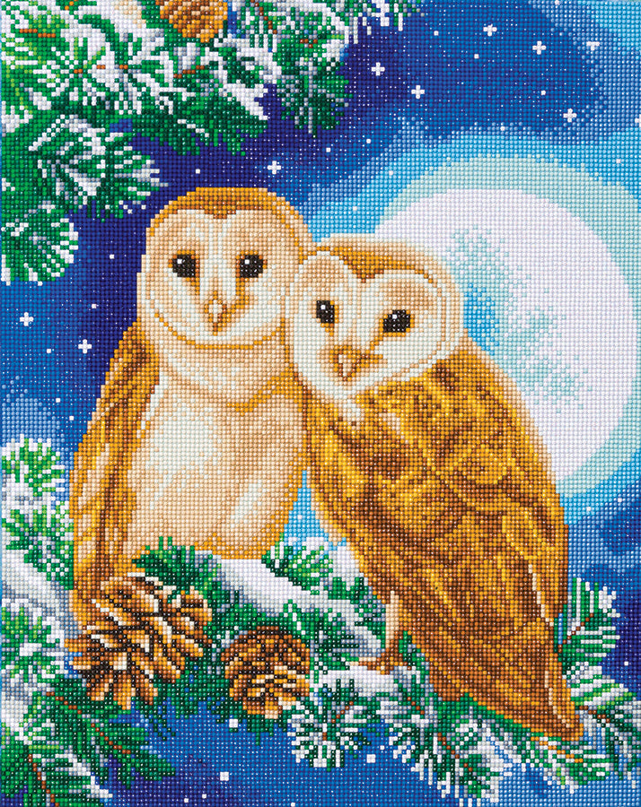 DIY Crystal Art Kit - Moonlight Perch 40 x 50cm