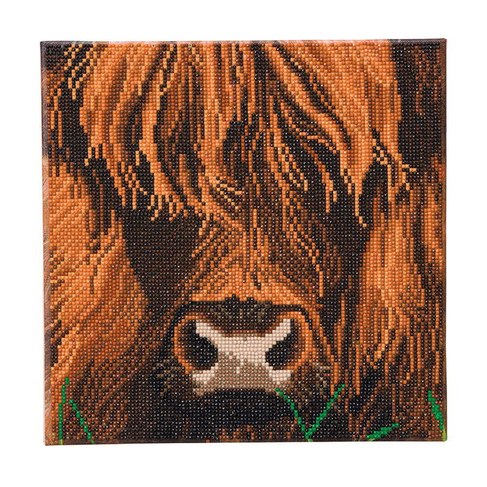 Crystal Art Mounted Kit Highland Cow 11.8X11.8"