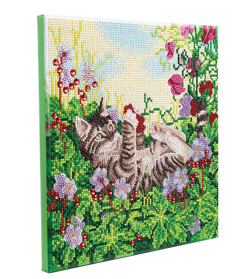 Crystal Art Framed Canvas Kit - Playful Cat 30 x 30cm