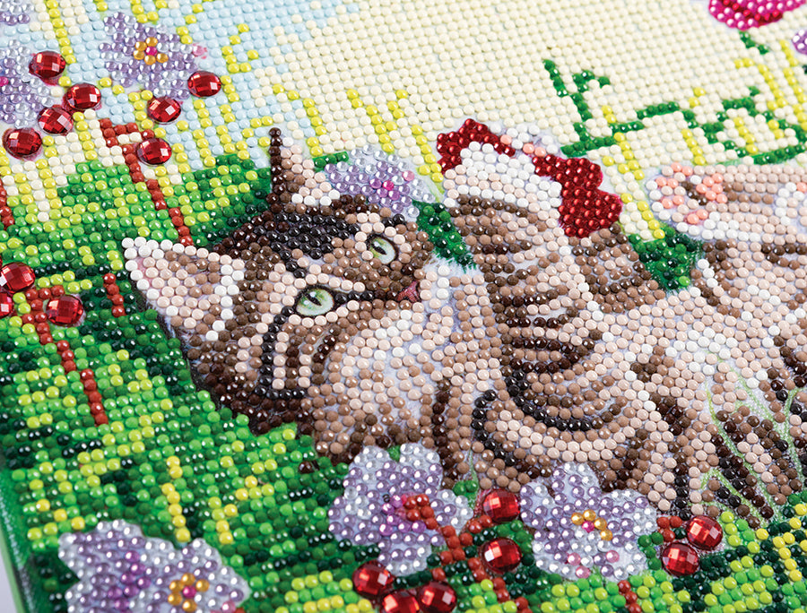 Crystal Art Framed Canvas Kit - Playful Cat 30 x 30cm