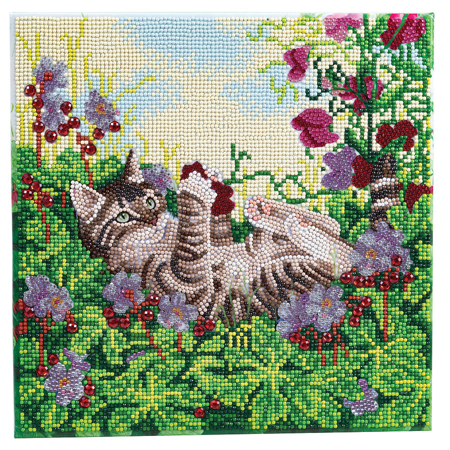 Crystal Art Framed Canvas Kit - Playful Cat 30 x 30cm