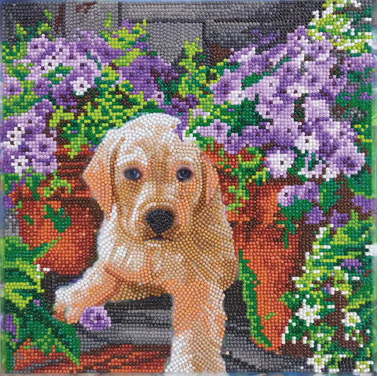 Crystal Art Framed Canvas Kit - Floral Pup 30 x 30cm