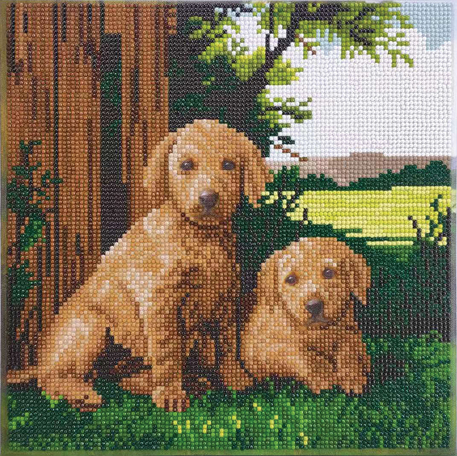 Crystal Art Framed Canvas Kit - Puppies by the Fence 30 x 30cm