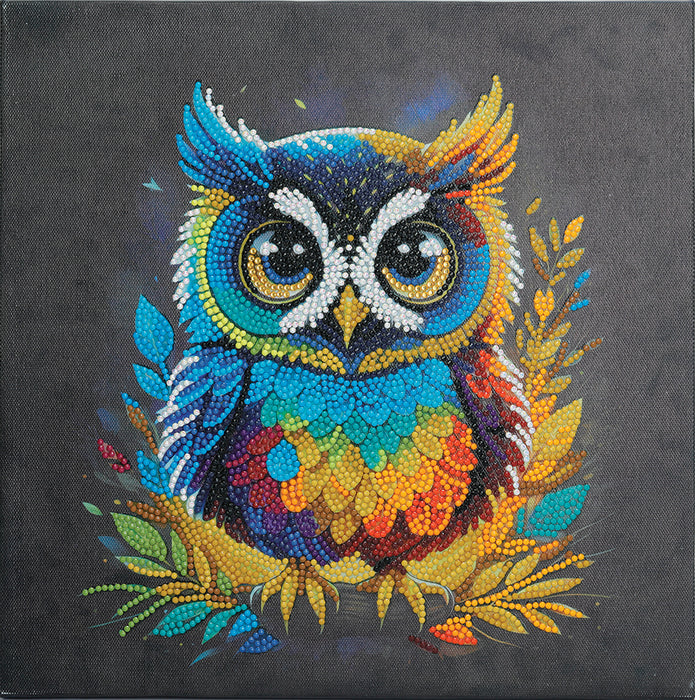 Crystal Art Mounted Kit Owl 11.8X11.8"