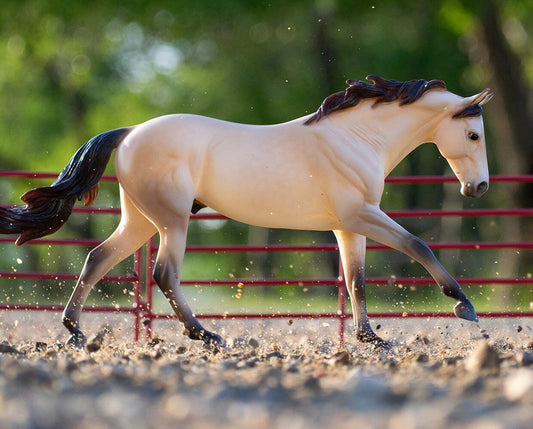 Cash - Essay Winner Quarter Horse 1/9