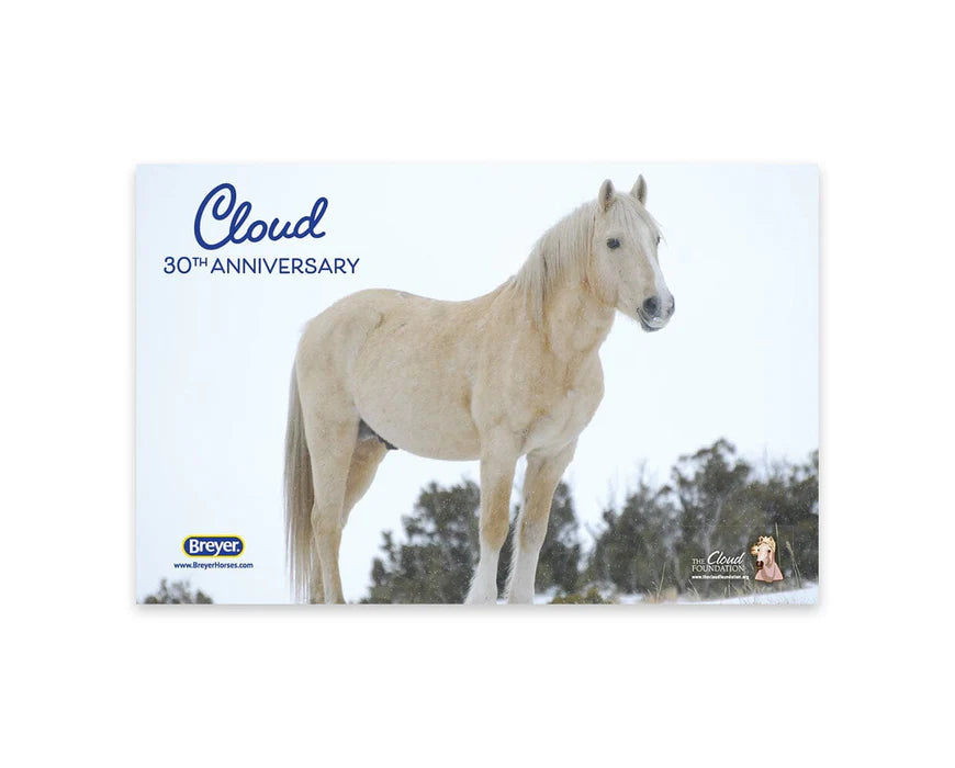 Cloud 30th Anniversary Ltd. Edition 1/9