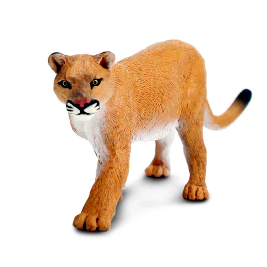 Mountain Lion