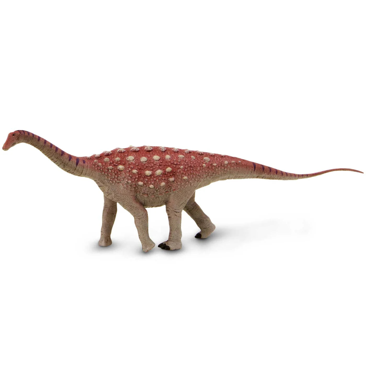 Saltasaurus