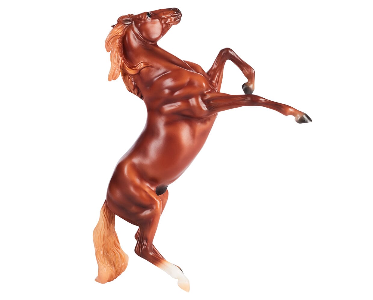 Chestnut Mustang 1/12