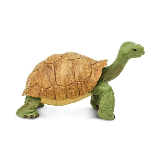 Giant Tortoise
