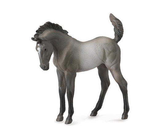 Mustang Foal - Grulla