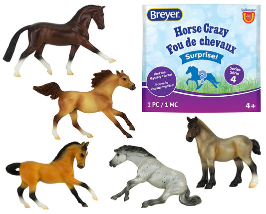 Horse Crazy Surprise Bag
