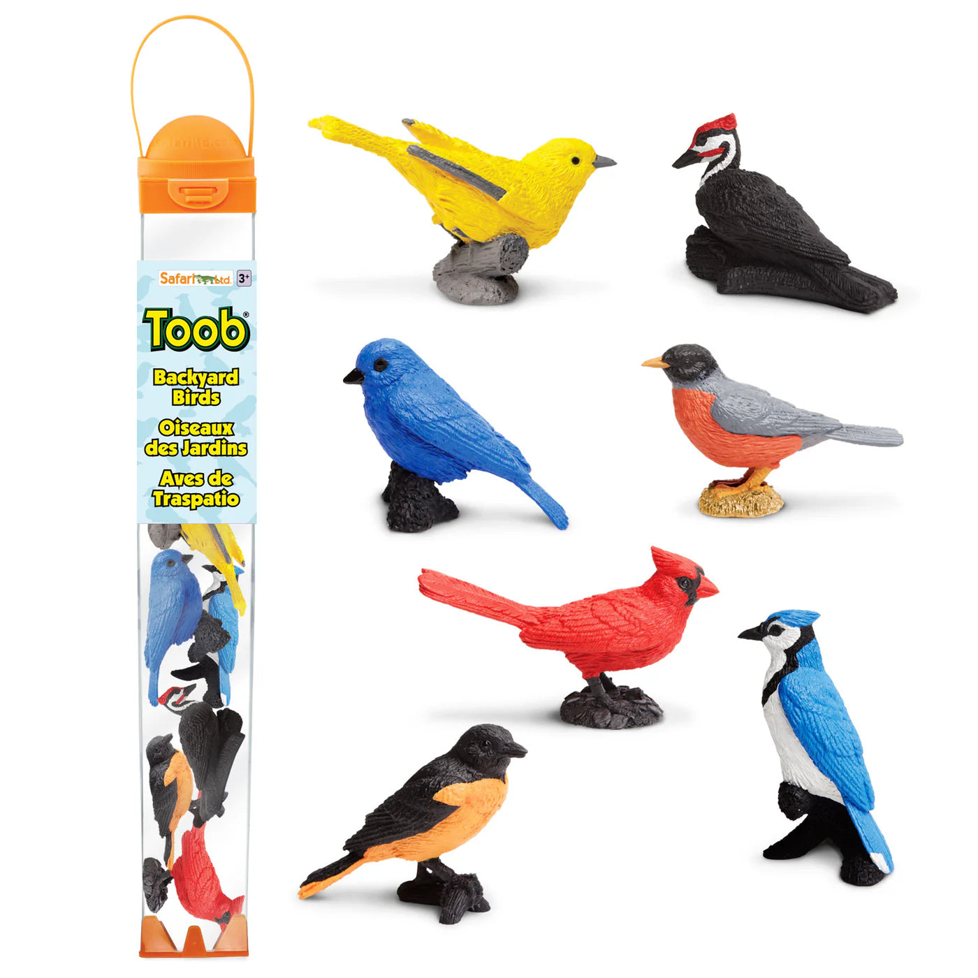 Backyard Birds Toob