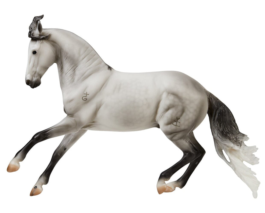 Jaguel Hilton Criollo Stallion 1/9