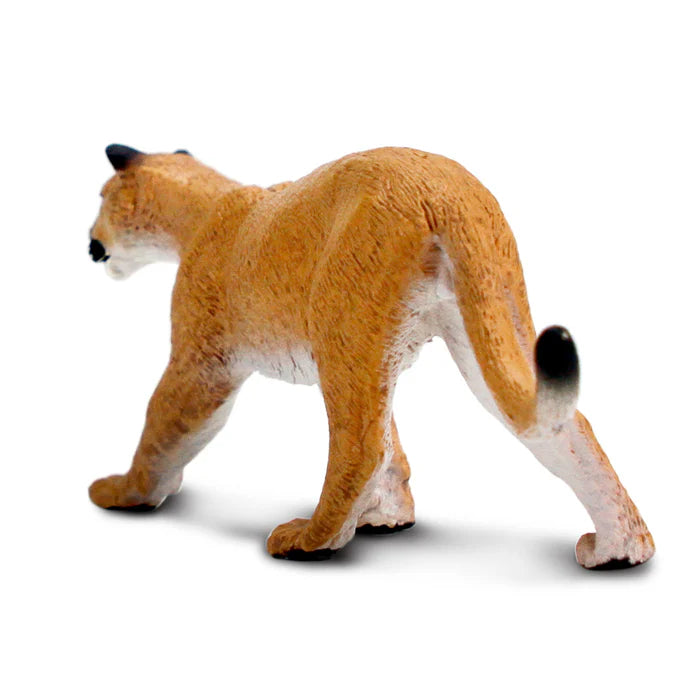 Mountain Lion