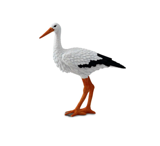 Stork