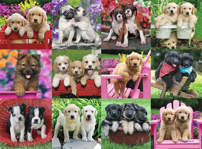 Puppy Pals 500pc