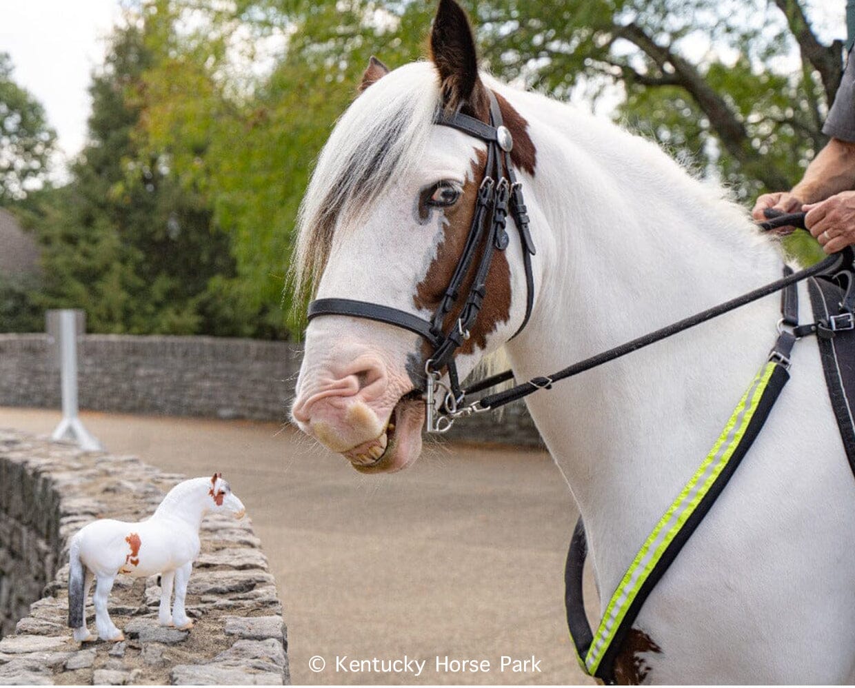 Hytyme Legend Kentucky Horse Park Police Horse 1/9