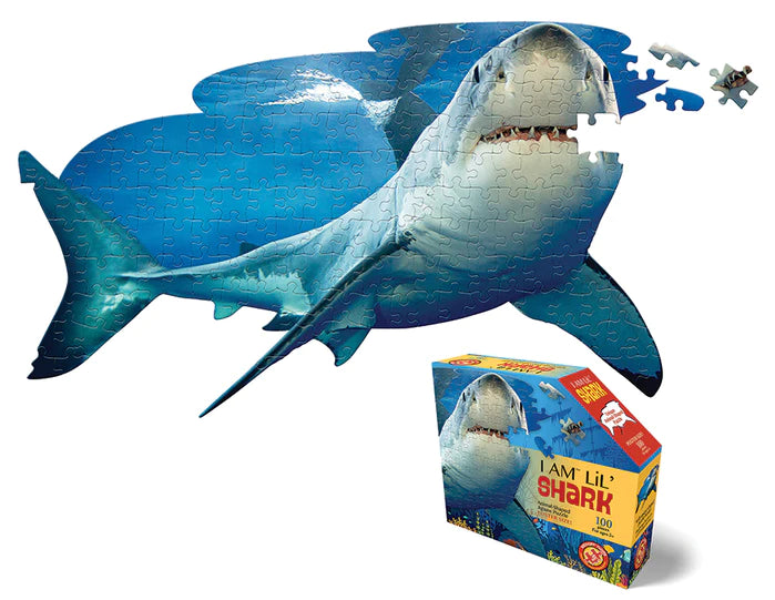 I am Lil' Shark 100pc