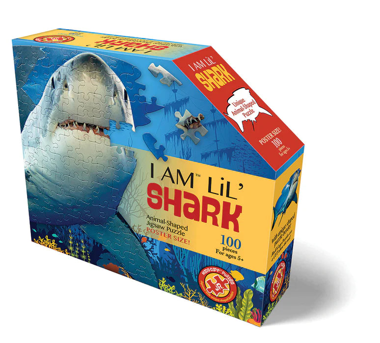 I am Lil' Shark 100pc