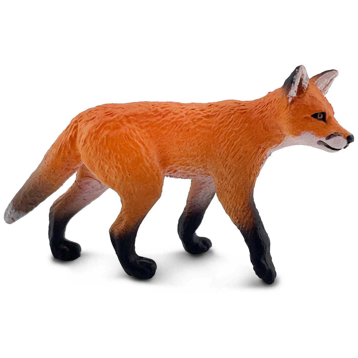 Red Fox