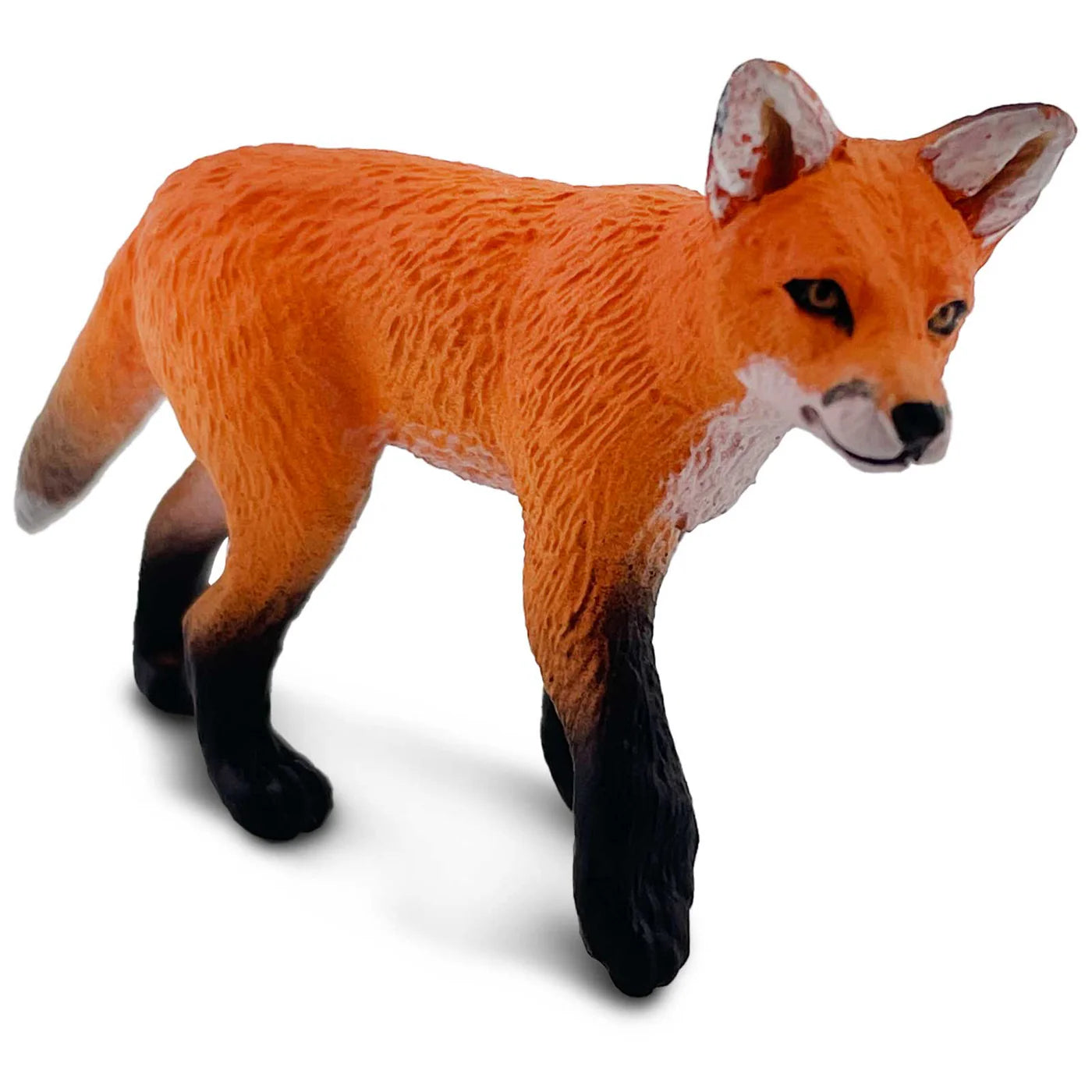 Red Fox
